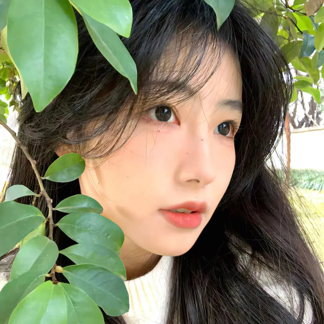 哈兰·科本的庇护所