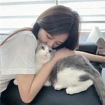 生命中的岛屿
